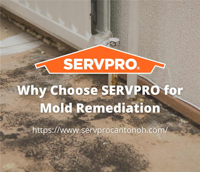 Why Choose SERVPRO for Mold Remediation