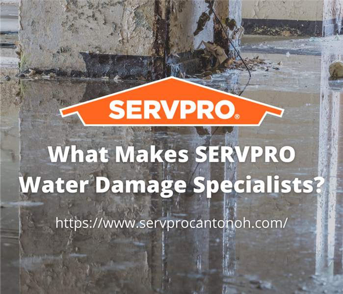 What Makes SERVPRO Water Damage Specialists?